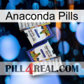 Anaconda Pills 12